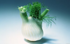 视频分析